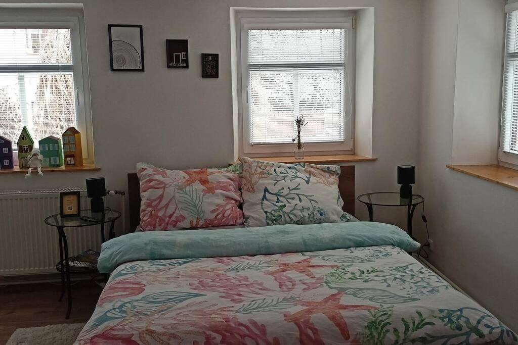 Wellness Apartman Bela Decin Bagian luar foto