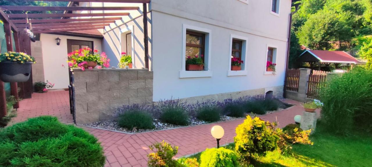 Wellness Apartman Bela Decin Bagian luar foto